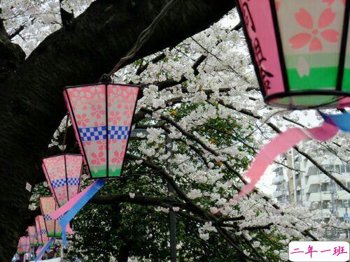 适合心情不好发的伤感难过说说带图片 这一次我放你走好不好2