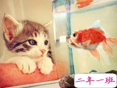 诗意的说说图片大全:世间繁华如画,你是我画中寻找的他