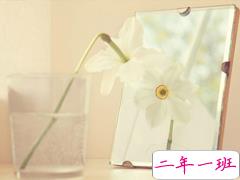 关于爱情的伤感难过句子带图片 我们两个之间的进度条可能也就只到这里了吧