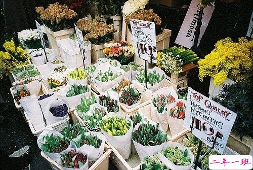 有些伤感的关于人生和成长的说说带图片 生活的本质就是离别10