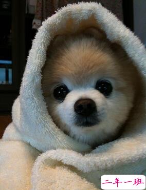 超拽说说带图片2