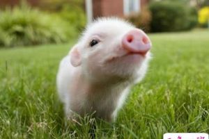 QQ空间搞笑说说带图片：谁说金钱买不来时间？网管，加两块钱！