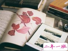 有点伤感的爱情说说带图片 失去一个人后是什么感觉