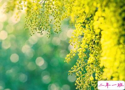 古风说说带图片1