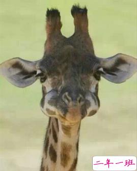 微信说说带图片：这个世界，看你二的人很多，陪你二的人很少10