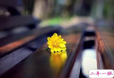 配图片的扣扣说说1