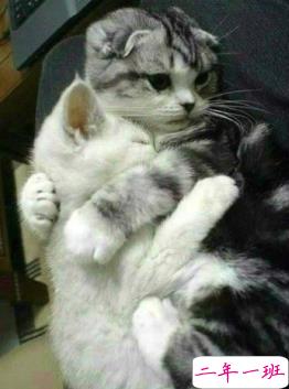 心情短语带图片2