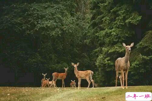 突然不喜欢一个人/放弃一个人是一种什么样的感受？8