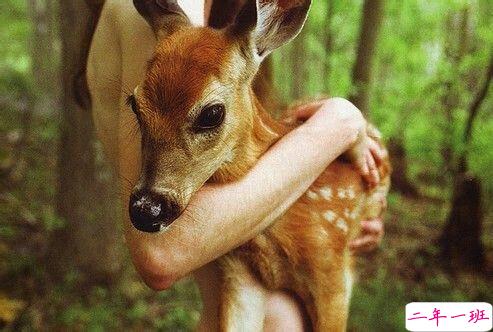 突然不喜欢一个人/放弃一个人是一种什么样的感受？10