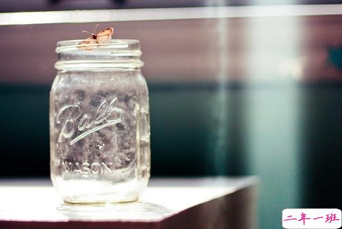 女生伤感心痛到窒息的图片句子 所有的悲欢都是我一个人的灰烬8