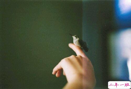 唯美伤感爱情说说带图片 我总不能耗尽一生换一句你的有可能15