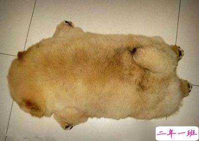 搞笑说说大全带图片5