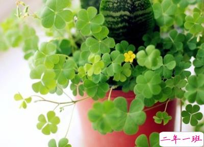 唯美古风句子配图片7