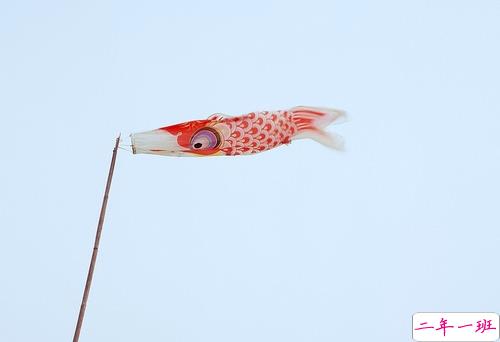 说给暗恋的你听的伤感女生图片说说 白昼隐没了星光15