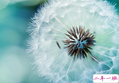 带图片的女生说说1