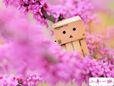 带图片的女生说说2