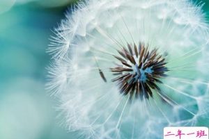 带图片的女生说说：百毒不侵的女汉子，哪个以前不是心软成病