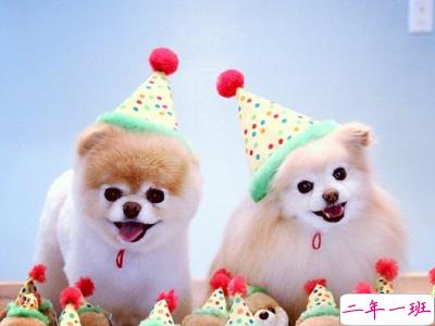 QQ空间图片说说5