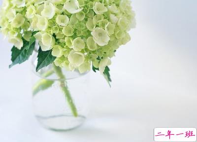 QQ空间图片说说7