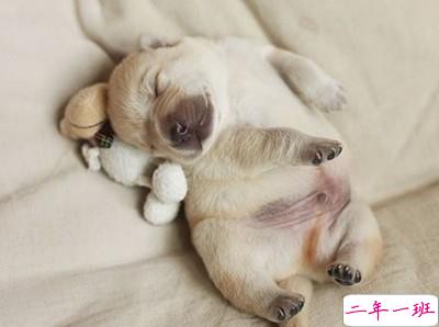 搞笑说说带图片1