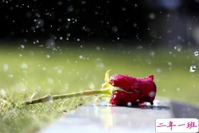 流行的说说带图片5