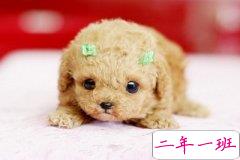 流行的说说带图片：那谁，我到底欠你什么，连梦里你都要让我难过