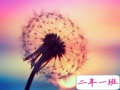 心情说说带图片：有一个人，让你曾经发了疯的想，如今拼了命的忘