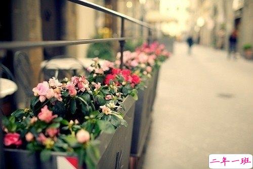 2018失落伤感后的图片说说 带有治愈系的伤感说说配图13