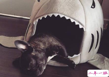 qq空间郁闷说说配图伤感：有时自己也捉摸不透自己1