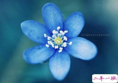 经典说说和图片4