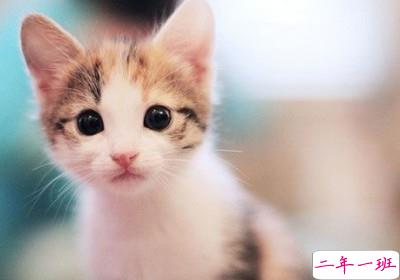 经典说说和图片5