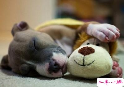 有意境的说说带图片7