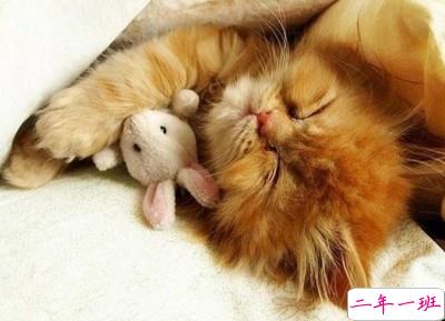 空间伤感说说带图3