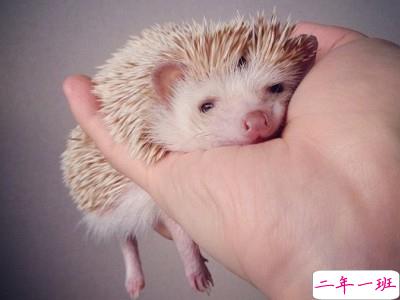 说说心情短语带图片5