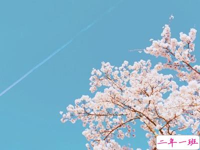 说说心情短语带图片7