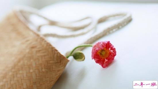 哪句歌词让你热泪盈眶图片带字 从前从前有个人爱你很久8