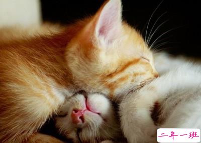 文艺说说带图片5