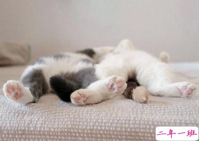 情感说说带图片6