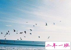 悲伤的说说带图片：也许他只是暧昧成瘾，而你却走了心