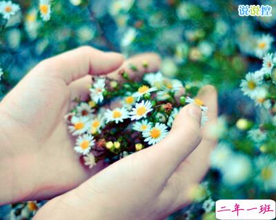 伤感英文说说带图片2