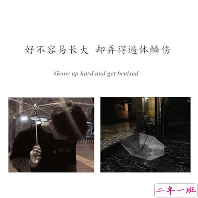 朋友圈心情感悟带图片 总有一句适合你温柔文案9