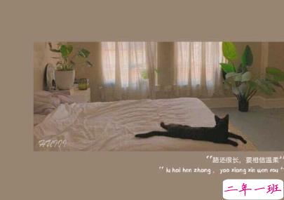 简约经典文字语录配图 朋友圈一句话文案14