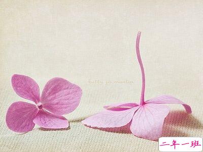 伤感唯美说说带图片，唯美伤感的句子图片7