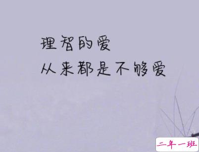 经典文艺短句子带图片 越努力越幸运4