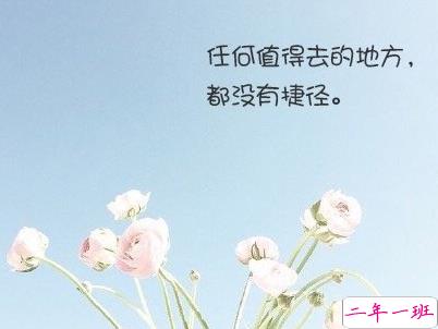 经典文艺短句子带图片 越努力越幸运10