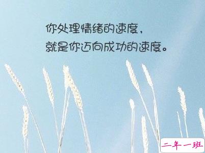 经典文艺短句子带图片 越努力越幸运11