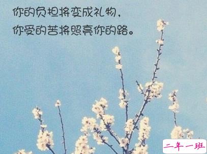 经典文艺短句子带图片 越努力越幸运13