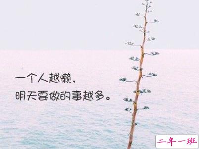 经典文艺短句子带图片 越努力越幸运14