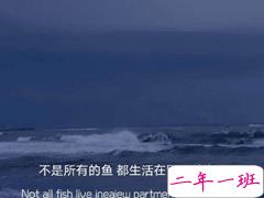 向往大海简短治愈朋友圈文案 描写大海的惊艳文案