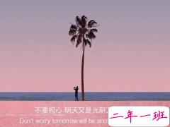 2021很有诗意内涵的晚安句子 桐花万里路连朝语不息